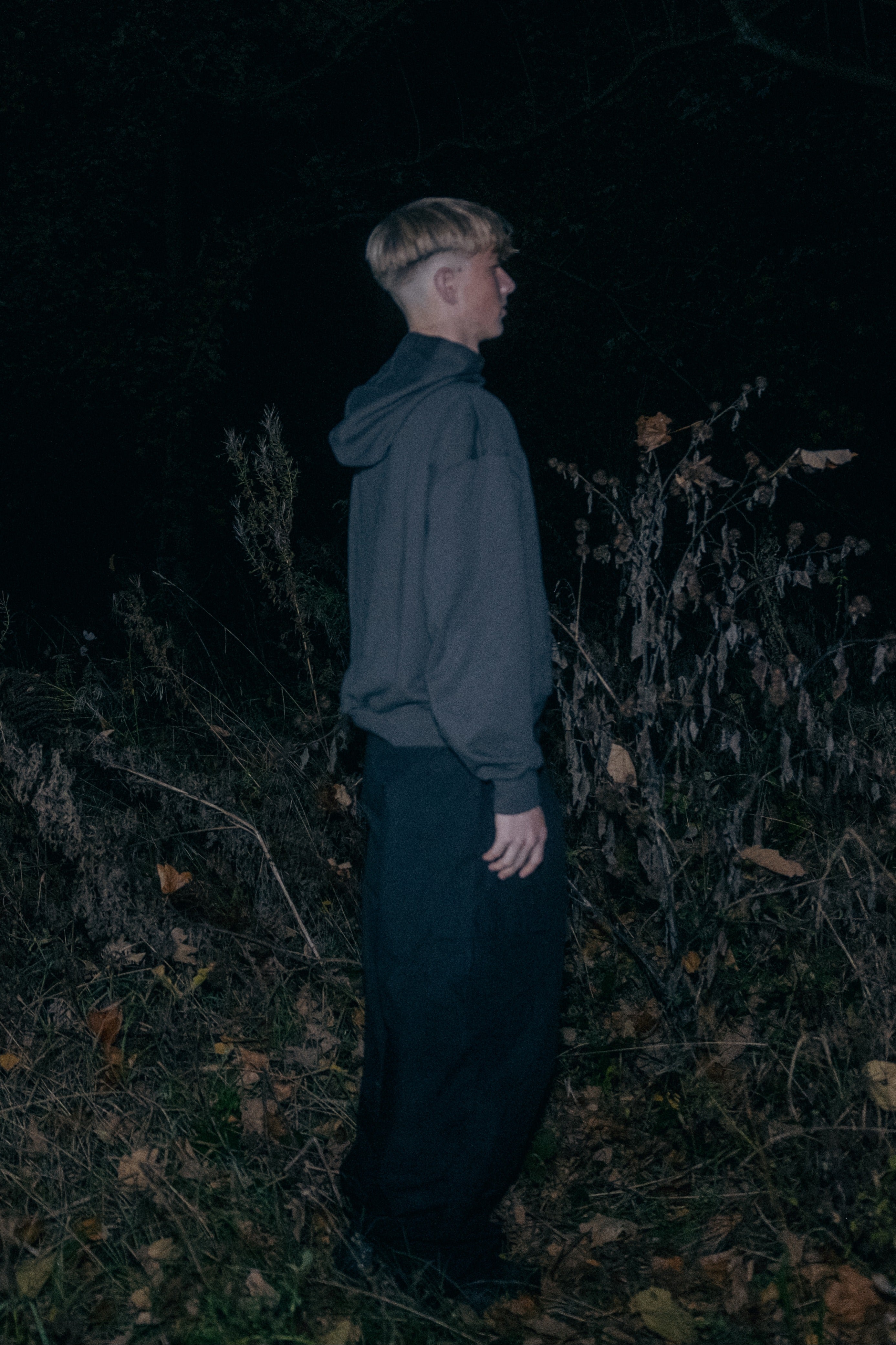 Forest Night hoodie
