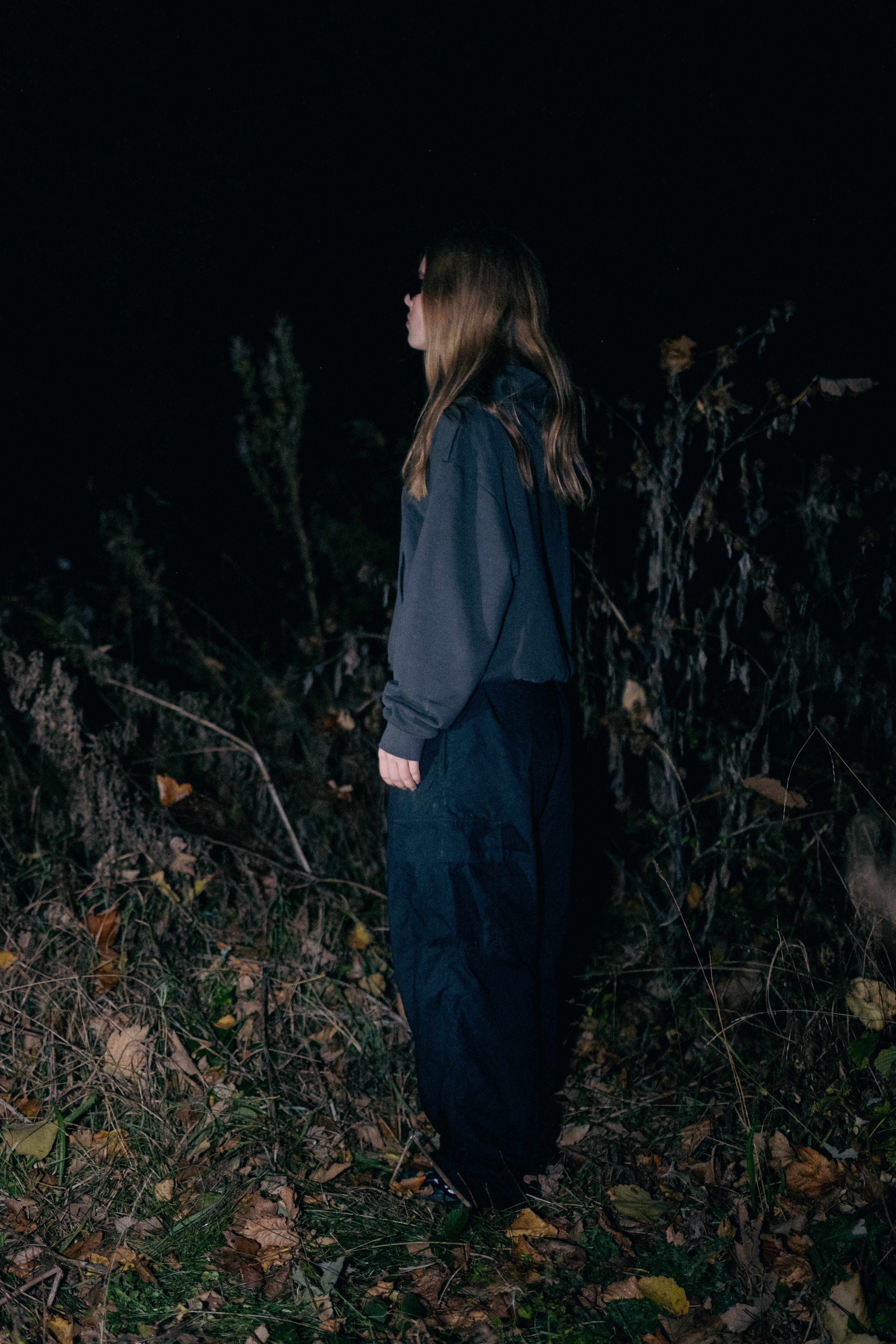 Forest Night hoodie